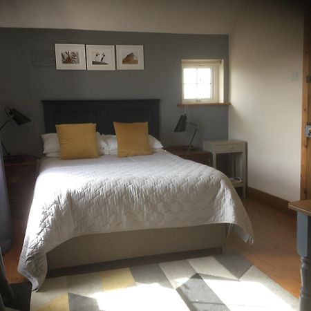 Dromelihy House Stud Pension Doonbeg Buitenkant foto