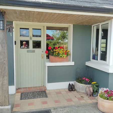 Dromelihy House Stud Pension Doonbeg Buitenkant foto