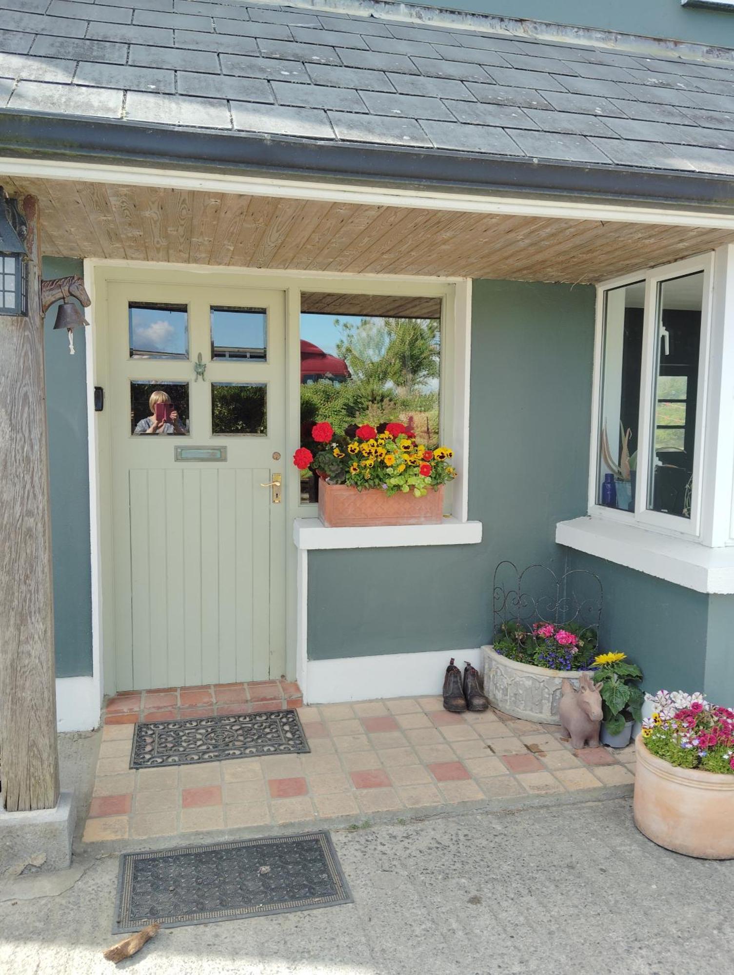 Dromelihy House Stud Pension Doonbeg Buitenkant foto
