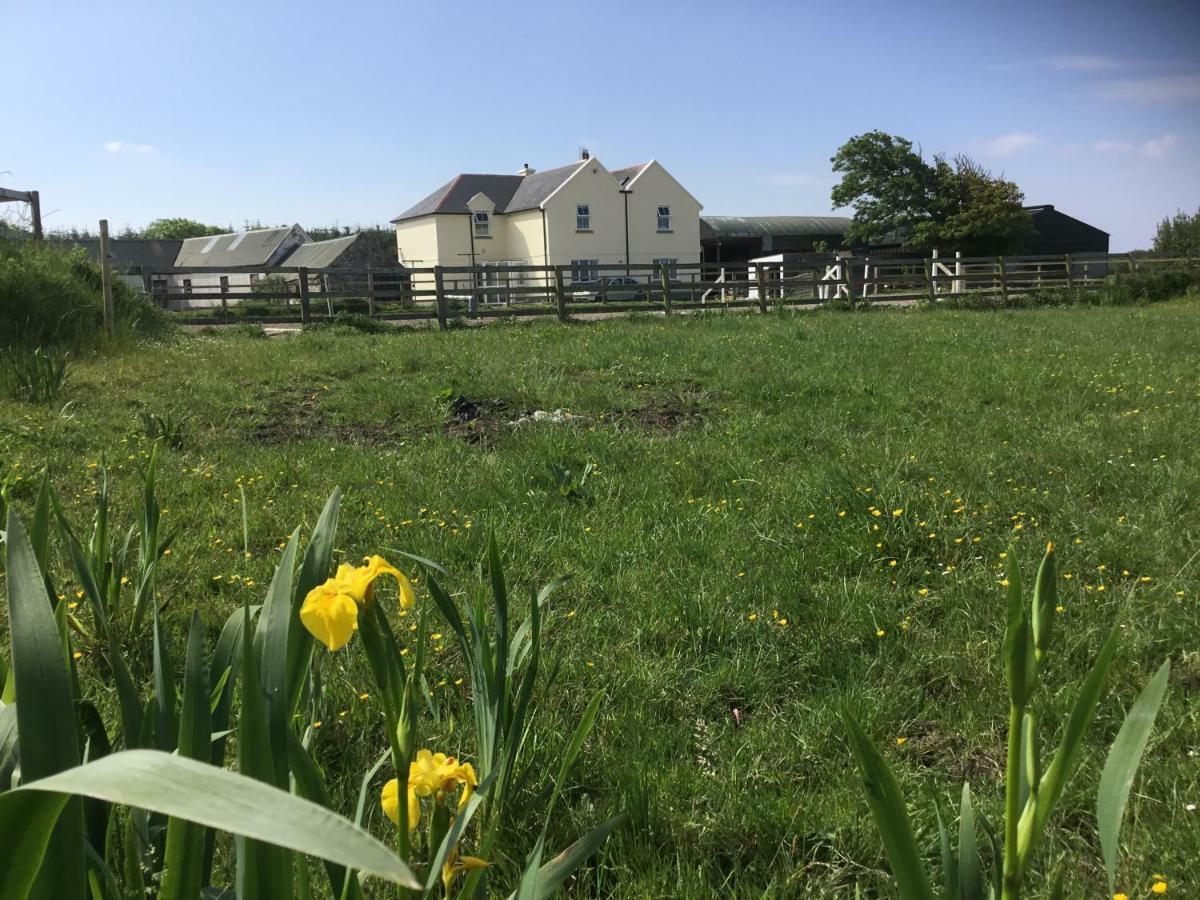 Dromelihy House Stud Pension Doonbeg Buitenkant foto