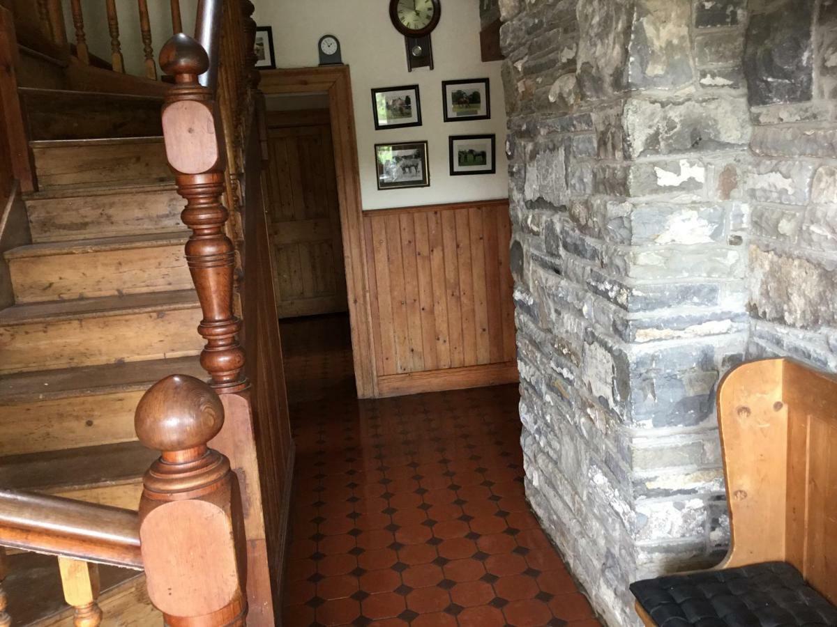 Dromelihy House Stud Pension Doonbeg Buitenkant foto