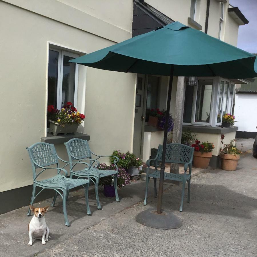 Dromelihy House Stud Pension Doonbeg Buitenkant foto